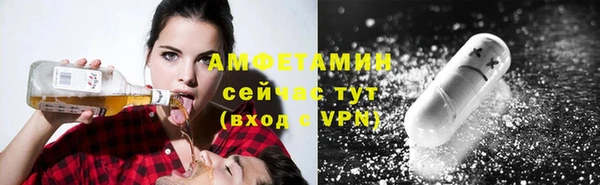 стаф Балахна