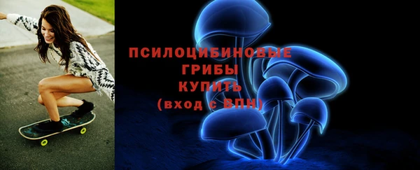 ПСИЛОЦИБИНОВЫЕ ГРИБЫ Балабаново