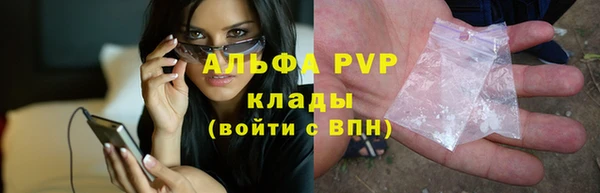 ПСИЛОЦИБИНОВЫЕ ГРИБЫ Балабаново