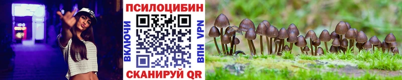 Псилоцибиновые грибы мухоморы Красноперекопск